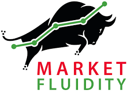 Market Fluidity review